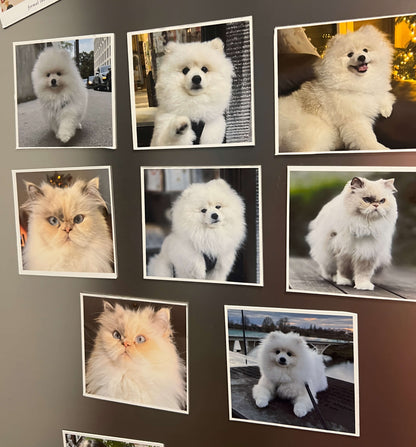 Flexi Fotomagnet(S,M,L)